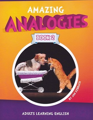 Analogies for Adults Book 2