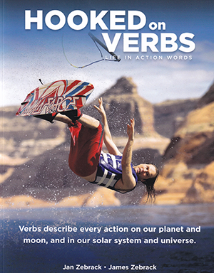 hooked on verbs cover